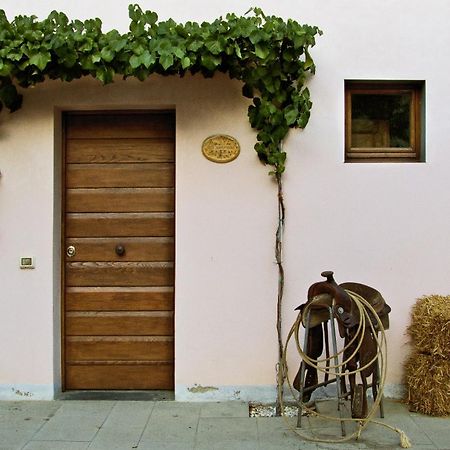 Agriturismo La Canonica Certaldo Exterior foto